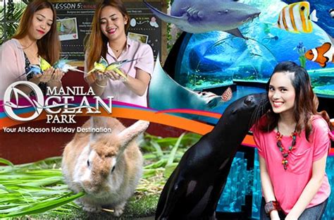 ocean park metrodeal|ocean park discount tickets philippines.